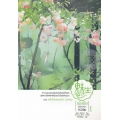 เม่ยเซิง เปลี่ยนหน้า ท้าลิขิต เล่ม 1