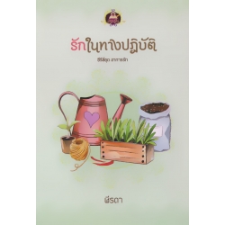 รักในทางปฏิบัติ