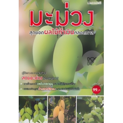มะม่วง สุดยอดไม้ผลทำเงินตลอดกาล