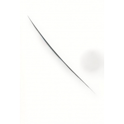 มูซาชิ ฉบับท่าพระจันทร์ : Musashi The Sword of Mindfulness (White Edition)