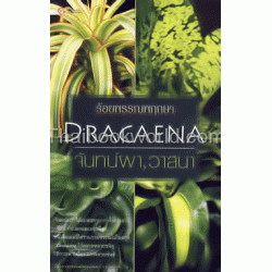 ร้อยพรรณพฤกษา Dracaena จันทร์ผา, วาสนา