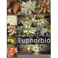 ร้อยพรรณพฤกษา ยูโฟเบีย Euphorbia